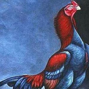 Meet your Posher, Luis m